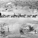 Freight Wagon in Oatman adjusted to 500